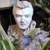 Elvis...Ryka