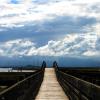 Wooden Bridge Illusion