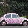 Flower Power