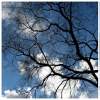 Shades Of Blue