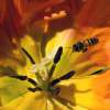 Bees Do It, Too