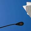 Lightpost Bowing in Homage