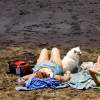 Sunbathers