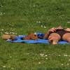 Sunbathers -- Botanical Gardens