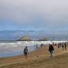 Saturday Morning Small Dog Group Walk At Ocean Beach
