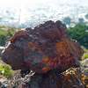 I Took This Rock Home