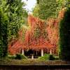 Sunken Garden At 