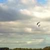 Wild Geese Over Martin Mere, UK